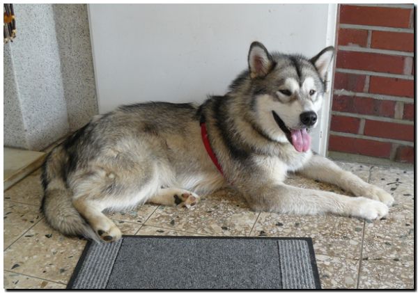 sunny 7-2009 027.jpg